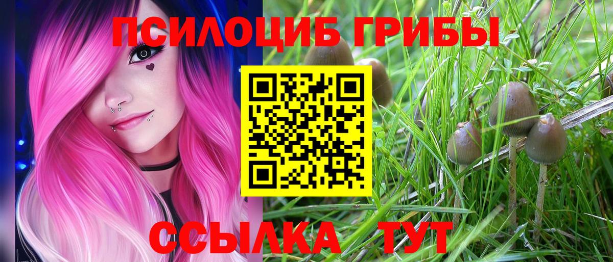 Галлюциногенные грибы мухоморы Дзержинск