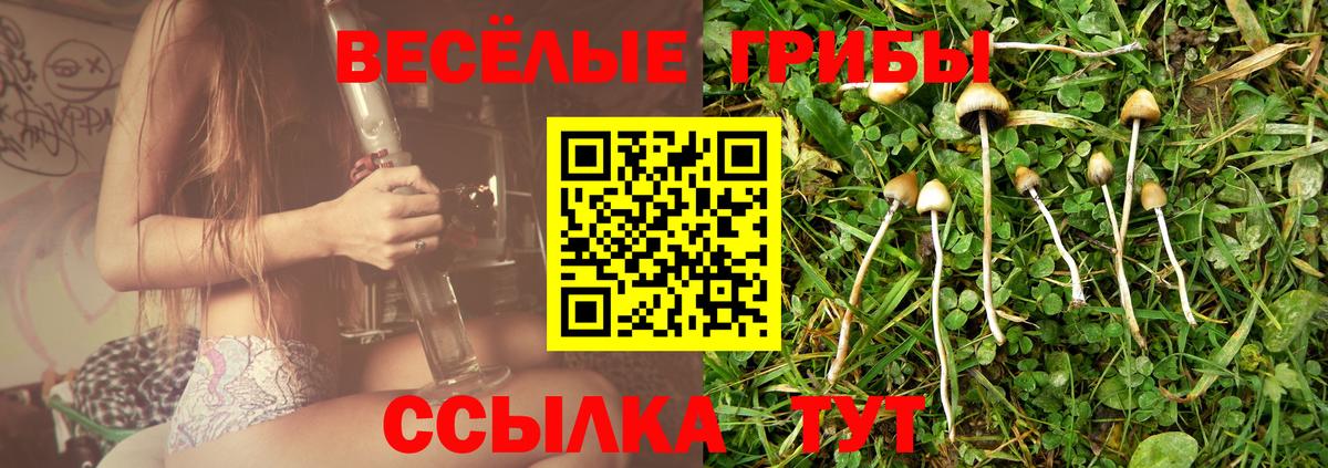 Псилоцибиновые грибы мухоморы  Вход с VPN  Дзержинск 